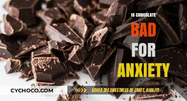 Sweet Relief or Bitter Anxiety: The Chocolate Conundrum Explored