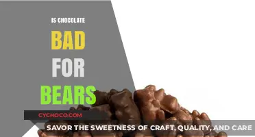 The Sweet Deception: Why Chocolate is a Bear's Worst Nightmare