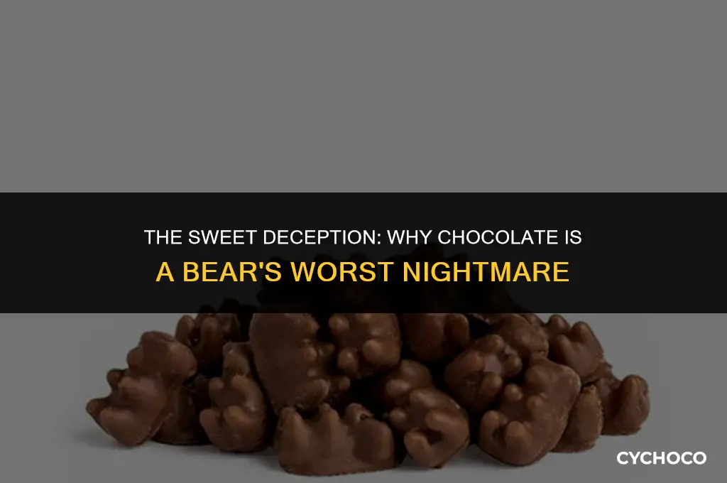 is chocolate bad for bears
