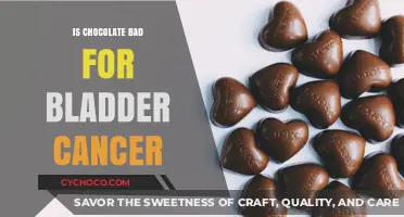 Decoding the Chocolate Myth: Bladder Cancer Risk Uncovered