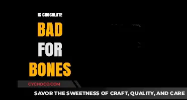 The Sweet Debate: Chocolate's Impact on Bone Health Explored