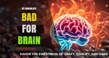 Decoding the Myth: Chocolate's Surprising Impact on Brain Health