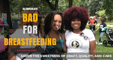Chocolate and Breastfeeding: Debunking Myths for Nursing Moms