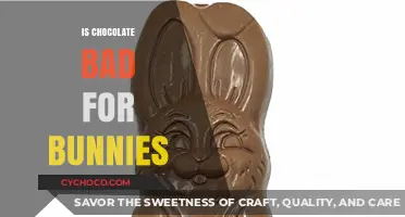 Can Bunnies Eat Chocolate? Debunking Myths and Ensuring Bunny Safety