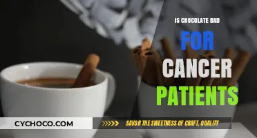 Chocolate and Cancer: Debunking Myths for Patient Nutrition and Health