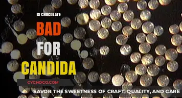 Decoding the Myth: Chocolate's Impact on Candida Explained