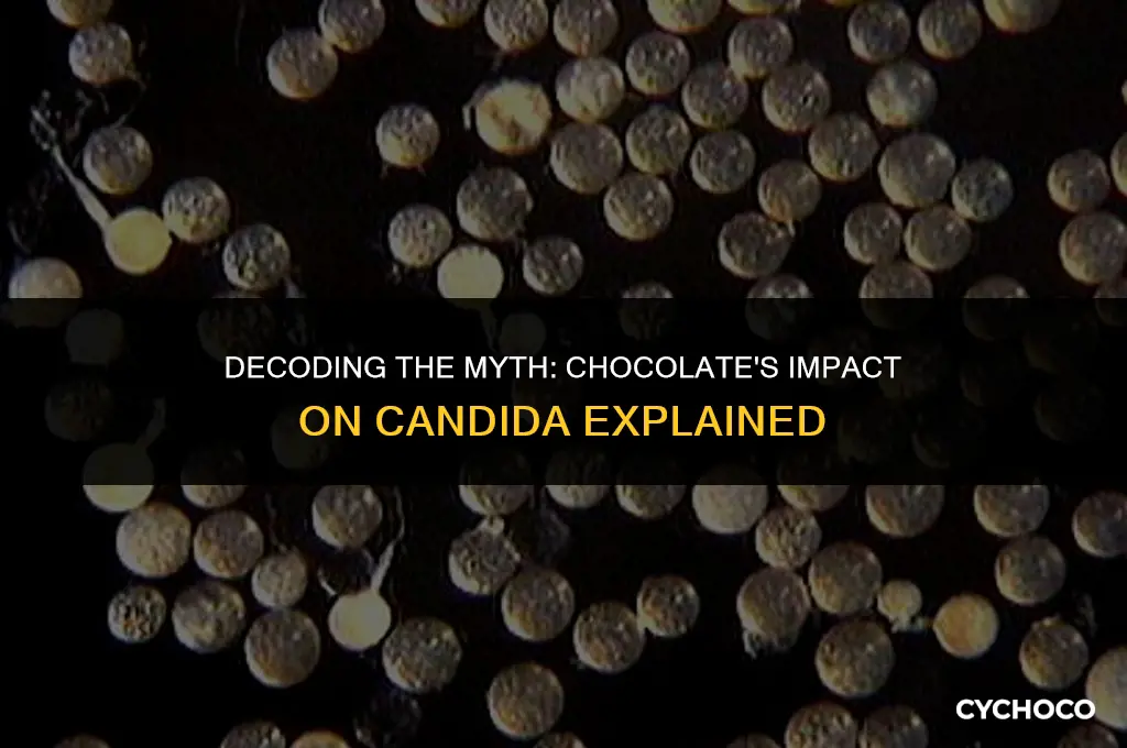 is chocolate bad for candida