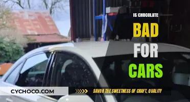 The Sweet and Sour Truth: Chocolate's Impact on Car Health