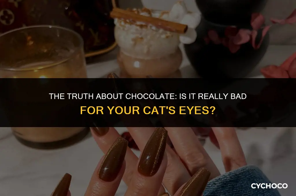 is chocolate bad for cats eyes
