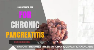 Decoding Diet: Is Chocolate a Culprit for Chronic Pancreatitis?