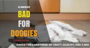 The Sweet Truth: Is Chocolate Really Bad for Doggies?
