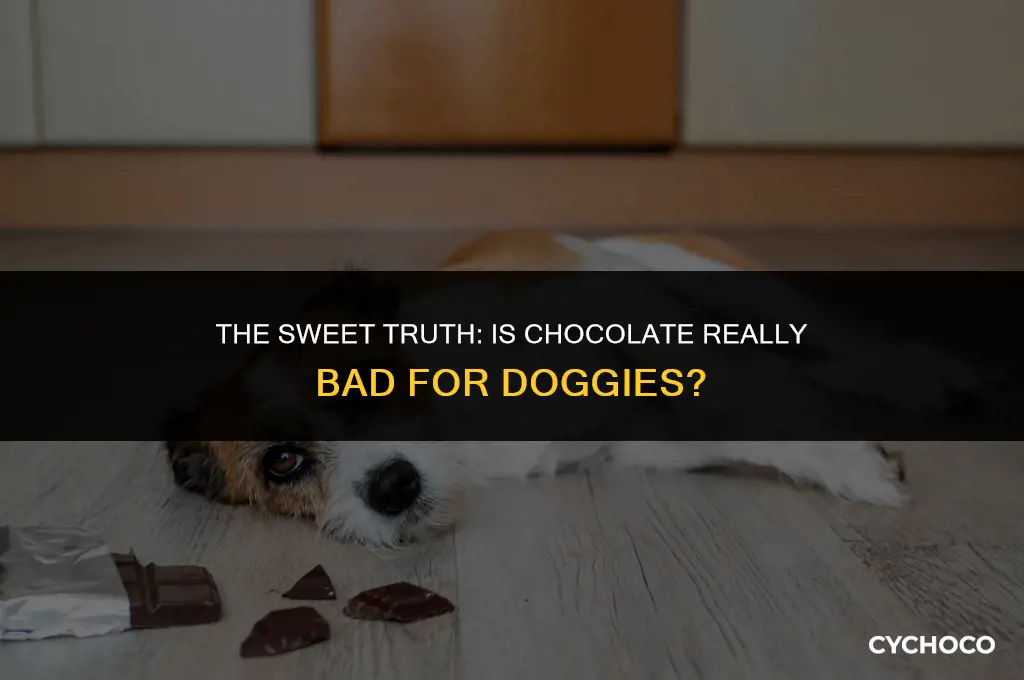 is chocolate bad for doggies