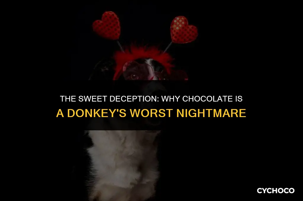 is chocolate bad for donkeys