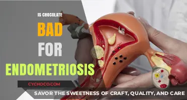 Decoding the Chocolate Myth: Understanding Its Impact on Endometriosis
