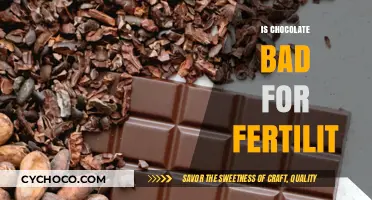 Decoding the Sweet Mystery: Chocolate's Impact on Fertility Explored