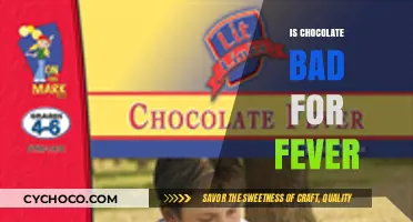 Debunking Myths: Chocolate's Surprising Impact on Fever Revealed