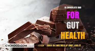 Decoding the Gut Health Impact of Chocolate: A Comprehensive Guide