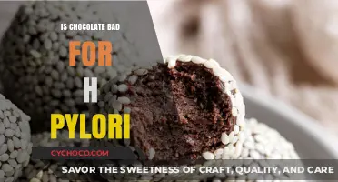 Decoding the Chocolate Conundrum: Is It Bad for H. Pylori?