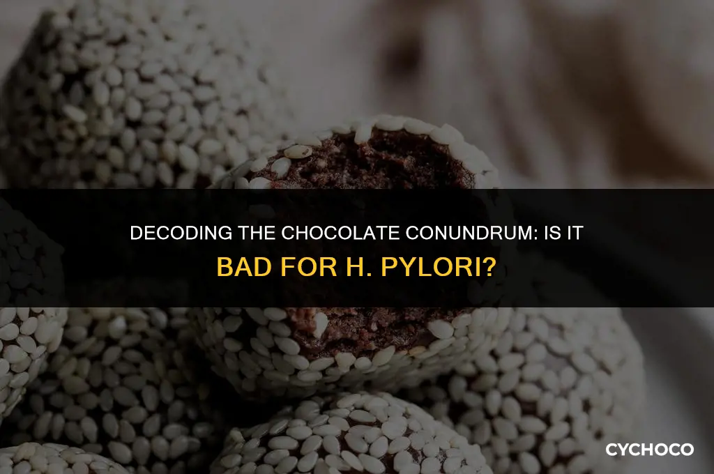 is chocolate bad for h pylori