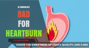 Decoding the Chocolate Conundrum: Heartburn Facts vs. Fiction