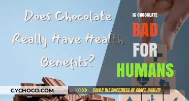 Unveiling the Truth: Is Chocolate a Friend or Foe to Human Health?