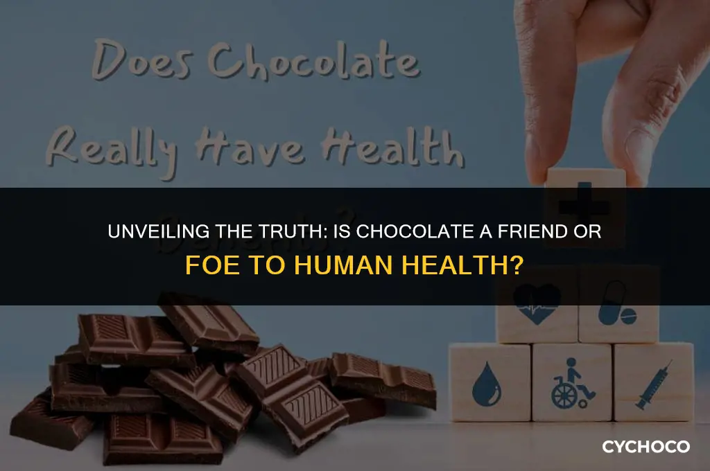 is chocolate bad for humans