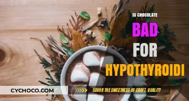 Decoding the Chocolate Conundrum: Hypothyroidism and Your Sweet Tooth