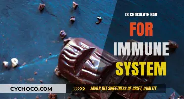 Decoding the Sweet Truth: Chocolate's Impact on Immunity