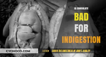 Decoding the Chocolate Conundrum: Indigestion Myths Busted