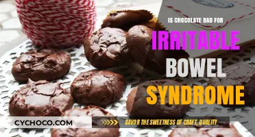 Decoding the Chocolate Conundrum: IBS and Your Sweet Tooth