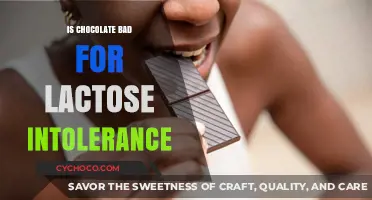 Decoding Dairy: Can Lactose Intolerant Individuals Enjoy Chocolate?