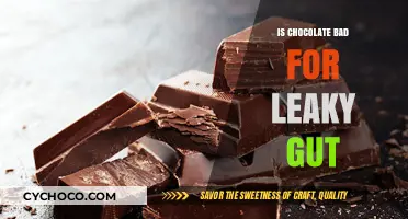 Decoding the Gut-Chocolate Connection: Is Your Favorite Treat a Leaky Gut Culprit?