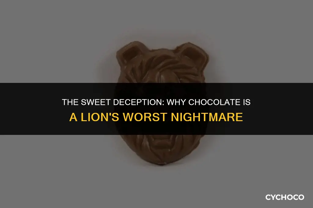 is chocolate bad for lions