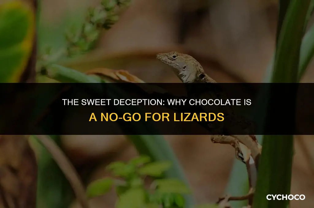is chocolate bad for lizards