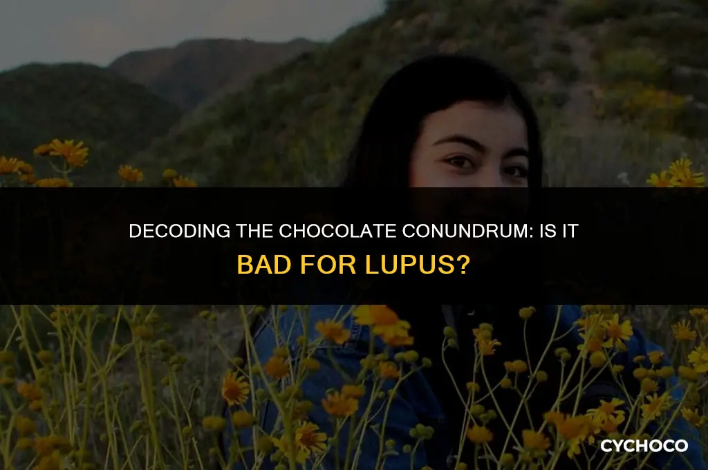is chocolate bad for lupus