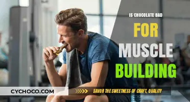 Debunking Myths: Chocolate's Surprising Impact on Muscle Building