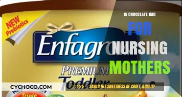 Debunking Myths: Is Chocolate Really Bad for Nursing Mothers?