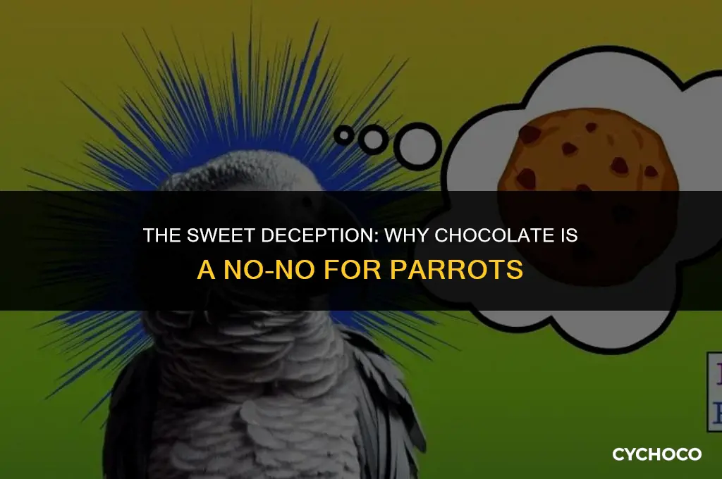 is chocolate bad for parrots