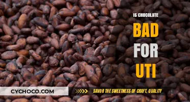 Chocolate and UTIs: Debunking Myths About Your Sweet Tooth and Bladder Health