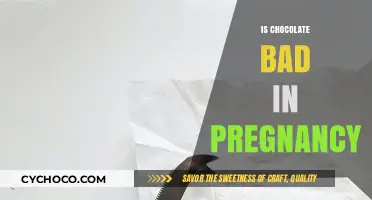 Chocolate in Pregnancy: Debunking Myths and Understanding Safe Indulgence