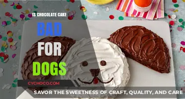Is Chocolate Cake Safe for Dogs? Risks and Alternatives Explained