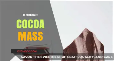 Unraveling the Rich Mystery: Is Chocolate Truly Cocoa Mass?