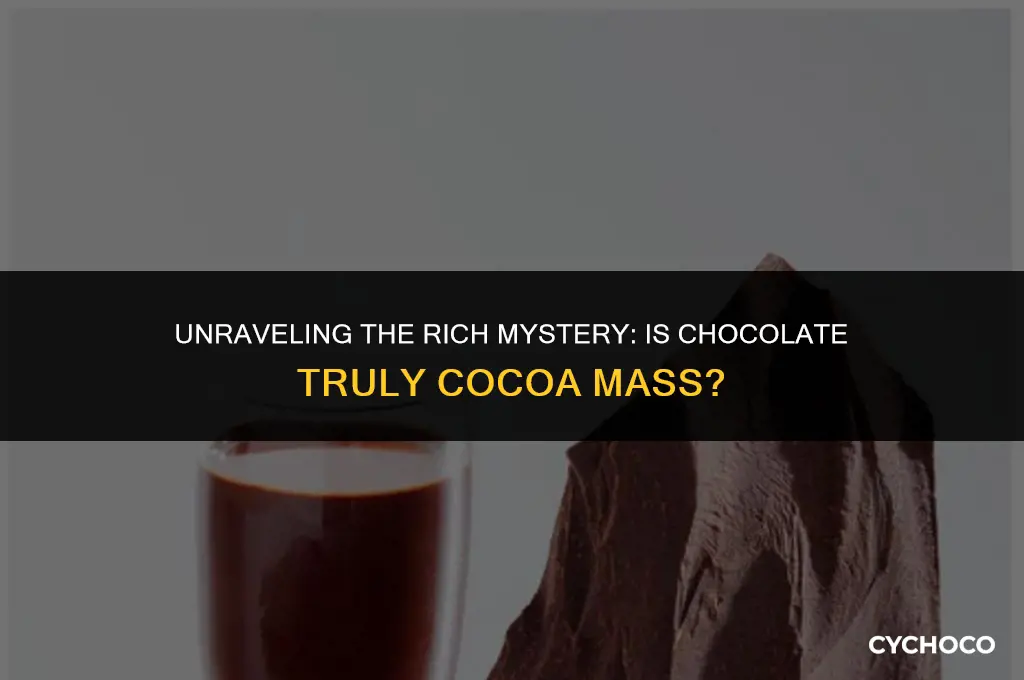 is chocolate cocoa mass