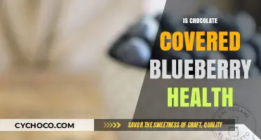 Indulge in Antioxidant Bliss: Chocolate-Covered Blueberries Unveiled