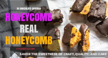 Unveiling the Truth: Chocolate-Covered Honeycomb vs. Real Honeycomb