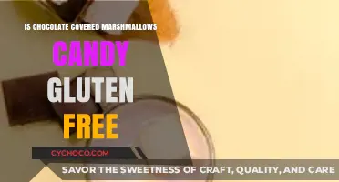 Deliciously Safe Treats: Are Chocolate-Covered Marshmallows Gluten-Free?