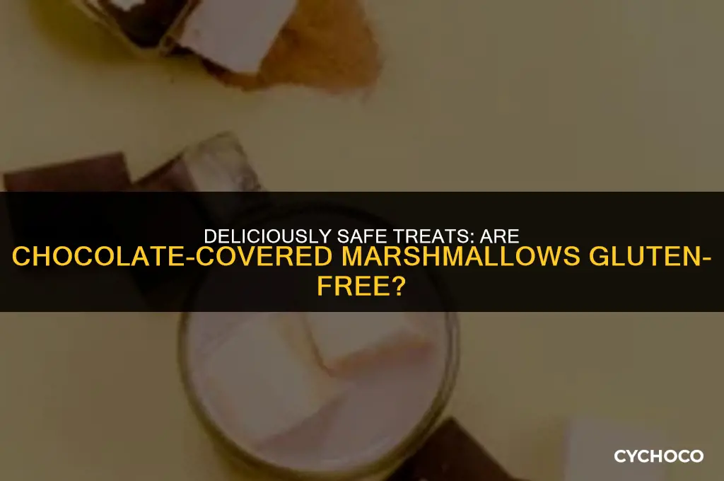 is chocolate covered marshmallows candy gluten free