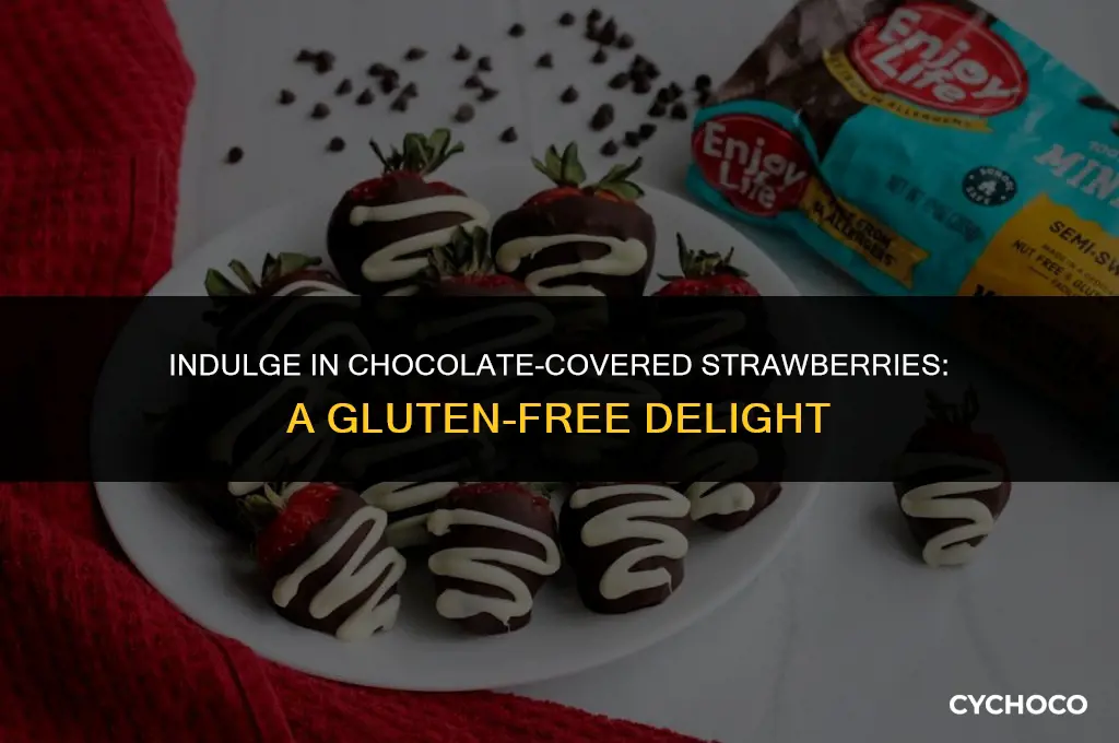 is chocolate covered strawberries gluten free