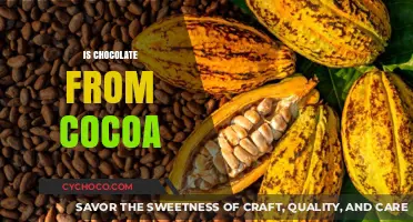 Unraveling the Sweet Mystery: Is Chocolate Truly Cocoa?
