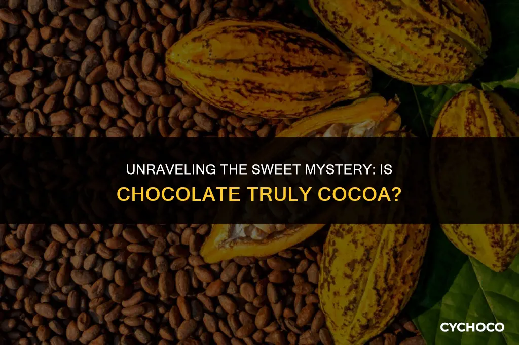 is chocolate from cocoa